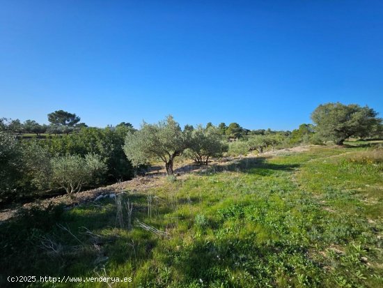 Finca en venta en L Ametlla de Mar (Tarragona)