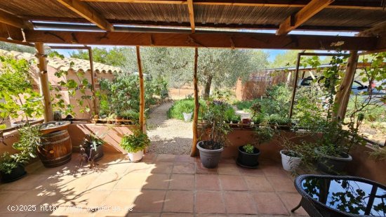 Finca en venta en Tivissa (Tarragona)