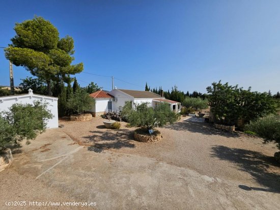  Finca en venta en L Ampolla (Tarragona) 