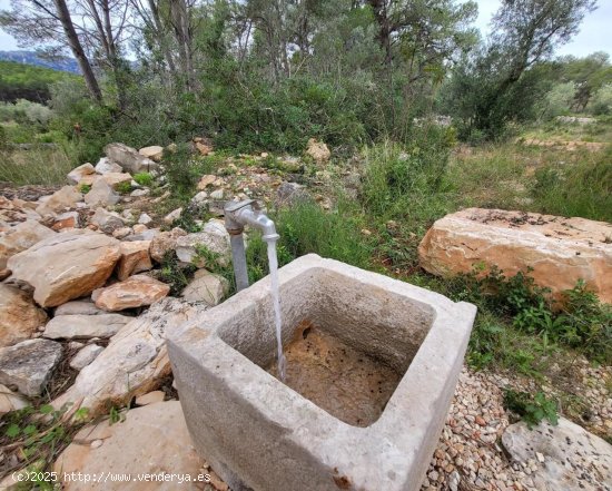 Finca en venta en El Perelló (Tarragona)