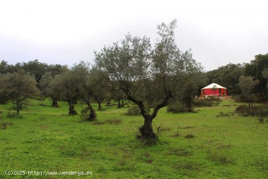 Finca para invertir en San Vicente de Alcántara (Badajoz)