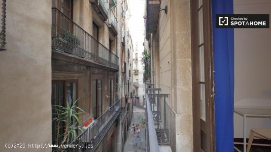 Habitación luminosa en alquiler en un apartamento de 4 dormitorios en Barri Gòtic - BARCELONA