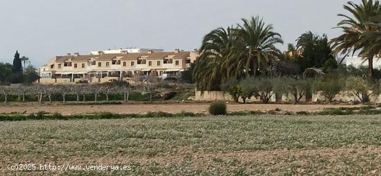 TERRENO A 300 Mº DEL NUCLEO DE  PERLETA - ALICANTE