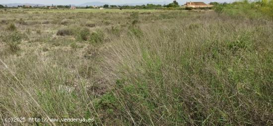 TERRENO EN MAITINO 11.333M2 - ALICANTE