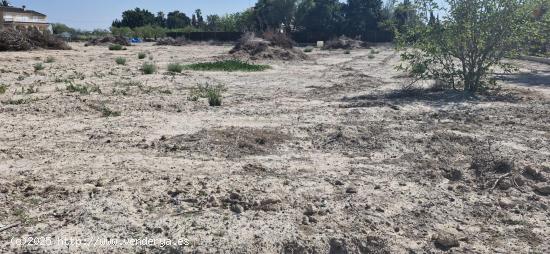 TERRENO DE 4000 M2 CON AGUA EN PERLETA - ALICANTE