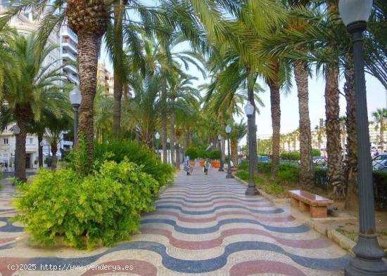  BONITO PISO PARA ENTRAR A VIVIR ( REFORMADO) EN CANALEJA / ALICANTE - ALICANTE 