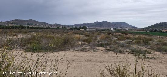 12000M2 TERRENO RUSTICO CON AGUA Y LUZ SOLO CONSTRUIR EL CHALET DE TUS SUEÑOS - ALICANTE