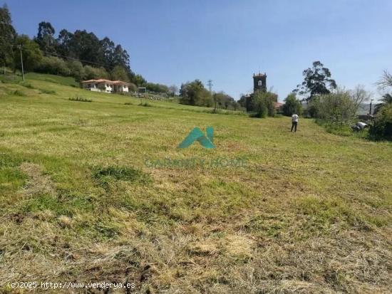 Se vende terreno urbanizable en Meruelo - CANTABRIA