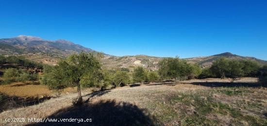 FINCA EN TOLOX - MALAGA