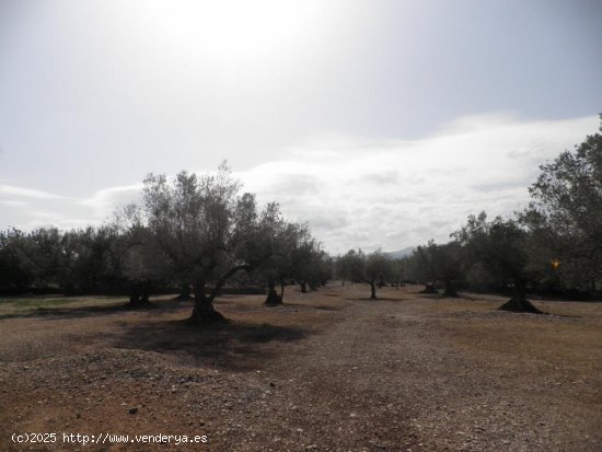 Casa rural en venta  en Roquetes - Tarragona