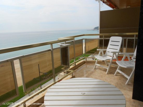 Apartamento en venta  en Sant Antoni de Calonge - Girona