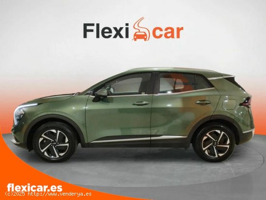 Kia Sportage 1.6 T-GDi HEV 171kW (230CV) Drive 4x2 - València