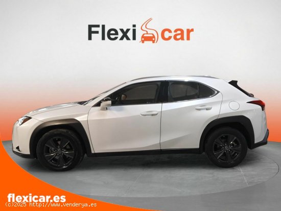 Lexus UX 2.0 250h Business - Paterna