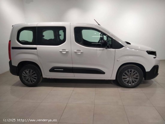 Citroën Berlingo  Talla M BlueHDi 100 S&S Plus - VITORIA