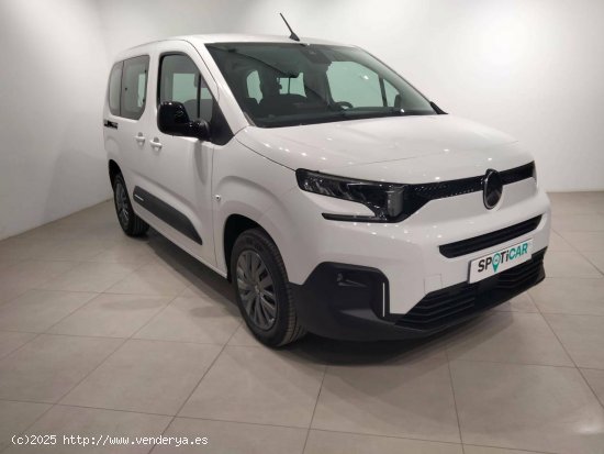 Citroën Berlingo  Talla M BlueHDi 100 S&S Plus - VITORIA