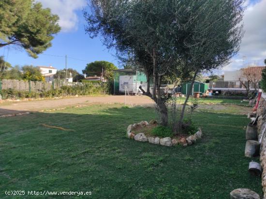 PARCELA CON EXCELENTE UBICACIÓN, SANTANDRÍA, MENORCA, BALEARES - BALEARES