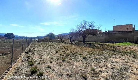 Suelo urbanizable en Monóvar, provincia de Alicante - ALICANTE