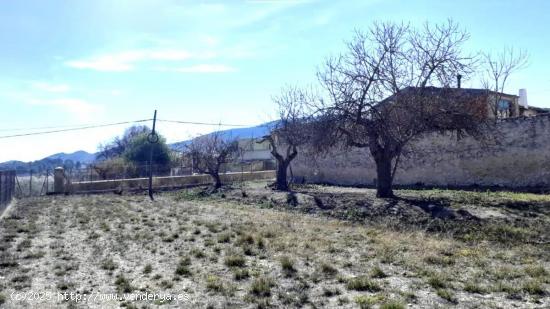 Suelo urbanizable en Monóvar, provincia de Alicante - ALICANTE