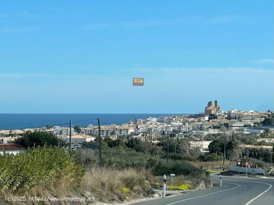 TERRENO RÚSTICO EN ALTEA - ALICANTE