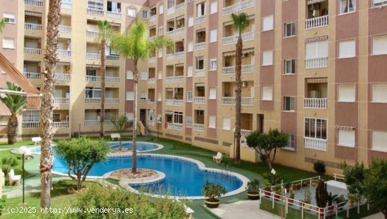 Apartamento en venta en Torrevieja (Alicante)