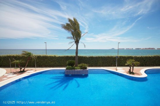 Apartamento en venta en La Manga del Mar Menor (Murcia)