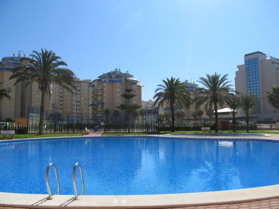 Apartamento en venta en La Manga del Mar Menor (Murcia)