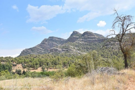 Finca en venta en Beceite (Teruel)