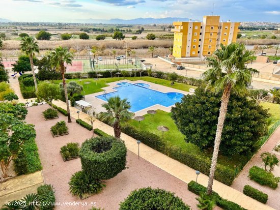 Apartamento en venta en Guardamar del Segura (Alicante)