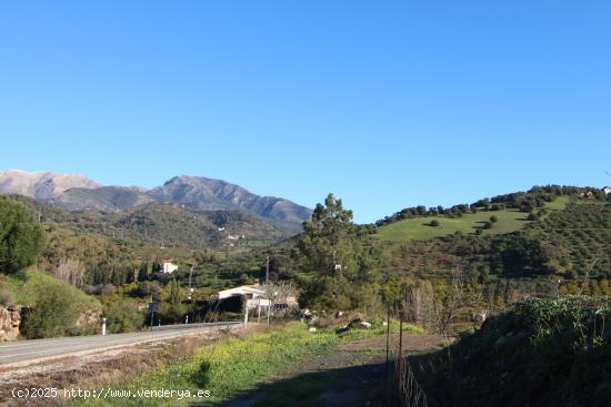  Parcela rústica en Tolox, Sierra de las Nieves - MALAGA 