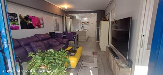 APARTAMENTO EN LA PATACONA - VALENCIA