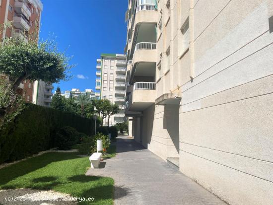  Apartamento luminoso en Playa de Gandia - VALENCIA 