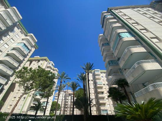 Apartamento luminoso en Playa de Gandia - VALENCIA