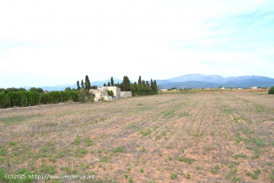 Finca rústica con caseta de herramientas y vistas a la Serra de Tramuntana  en Muro - BALEARES