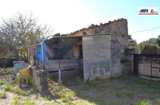  Finca rústica con caseta de herramientas con vistas a la Serra de Tramuntana en Muro - BALEARES 