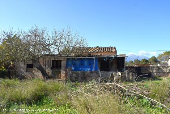 Finca rústica con caseta de herramientas con vistas a la Serra de Tramuntana en Muro - BALEARES