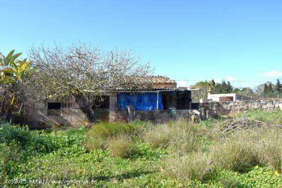 Finca rústica con caseta de herramientas con vistas a la Serra de Tramuntana en Muro - BALEARES