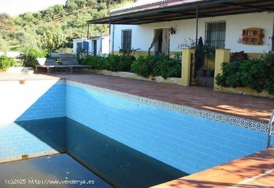  VENTA PARCELA RÚSTICA CON CASA, NAVE  Y PISCINA. EL GASTOR - CADIZ 