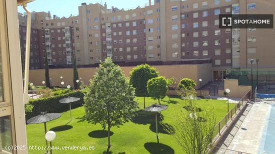 Apartamento de 1 dormitorio en alquiler en Madrid - MADRID