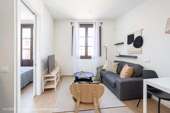  Apartamento entero de 1 dormitorio en Barcelona - BARCELONA 