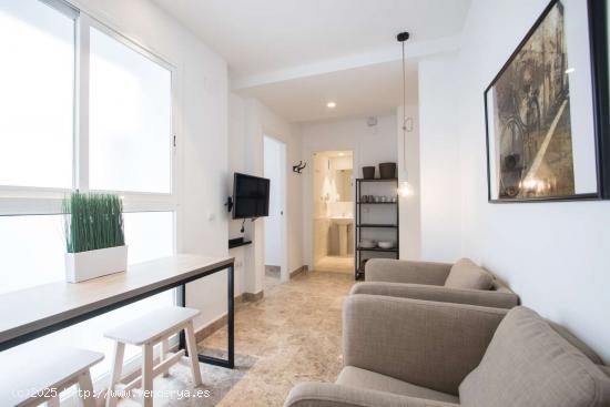  Apartamento entero de 1 dormitorio en València - VALENCIA 