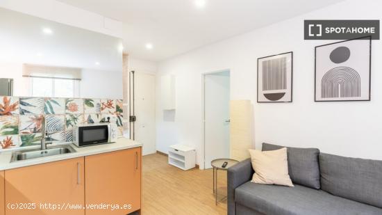 Acogedor y confortable apartamento amueblado en Carrer Sant Gil - BARCELONA