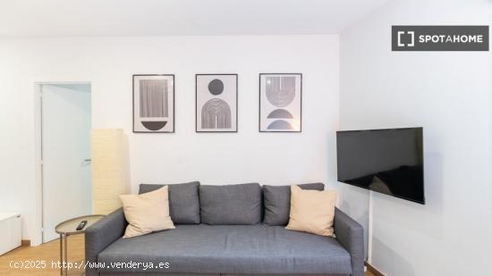 Acogedor y confortable apartamento amueblado en Carrer Sant Gil - BARCELONA