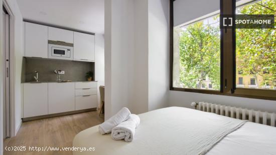 Estudio en alquiler en Bellas Vistas, Madrid - MADRID