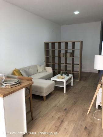  Apartamento entero de 1 habitaciones en Madrid - MADRID 