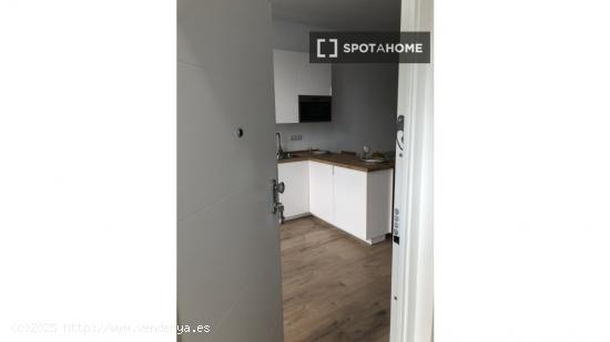 Apartamento entero de 1 habitaciones en Madrid - MADRID