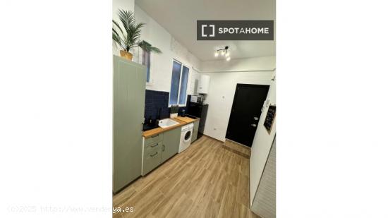 Apartamento de 1 dormitorio en alquiler en Lavapiés - MADRID