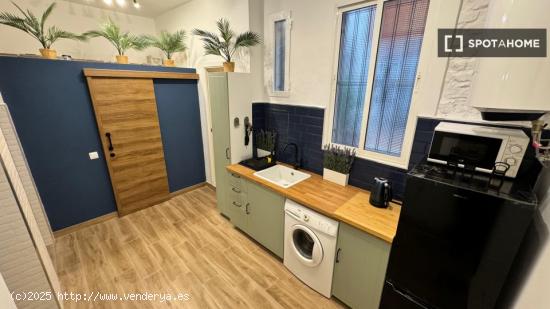 Apartamento de 1 dormitorio en alquiler en Lavapiés - MADRID