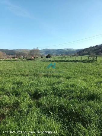 Se vende terreno en Hazas de Cesto - CANTABRIA