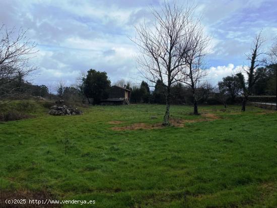 FINCA EDIFICABLE A 4 KM DE LA PLAYA - ASTURIAS