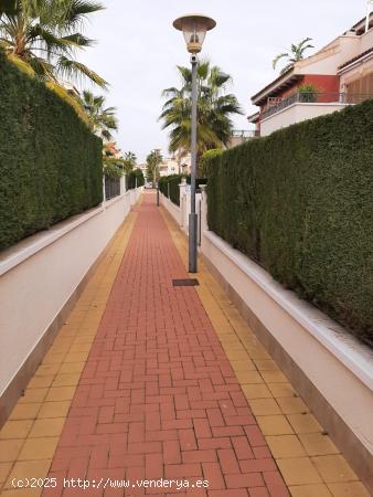 PLANTA BAJA DE 2 DORMITORIOS CON PISCINA COMUNITARIA - ZONA ZENIAMAR, ORIHUELA COSTA - - ALICANTE